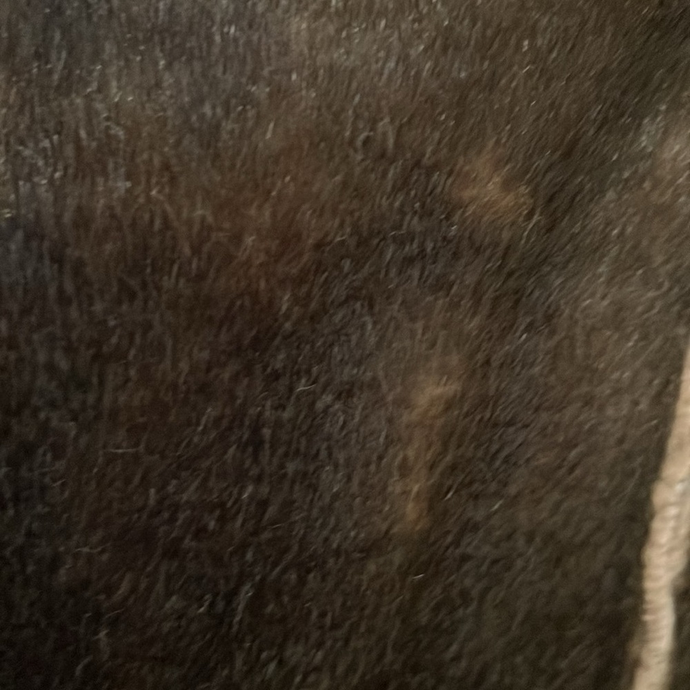 WINTER COAT - Picture 3 of 8